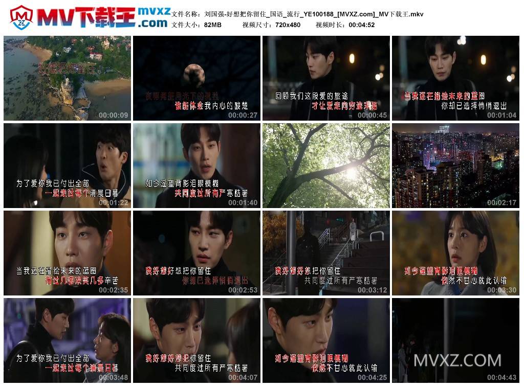 刘国强-好想把你留住_国语_流行_YE100188